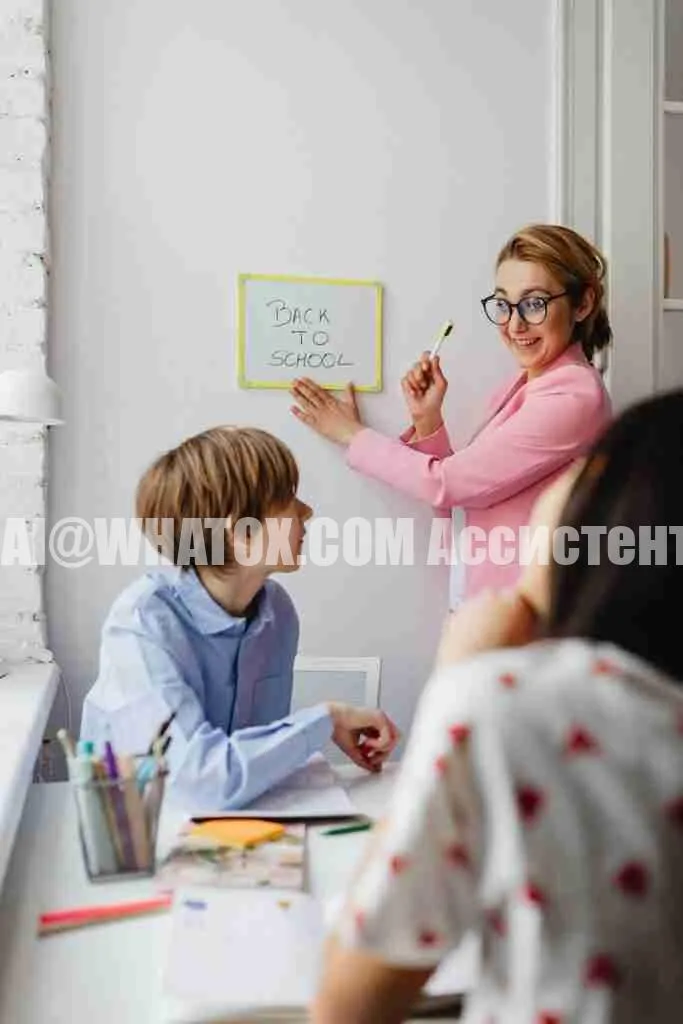 Образование в ОАЭ