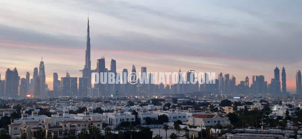 Дубай является глобальным бизнес-центром, привлекая профессионалов из различных отраслей, что создаёт много возможностей для межотраслевого нетворкинга и сотрудничества.